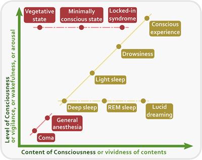 two track mind psychology